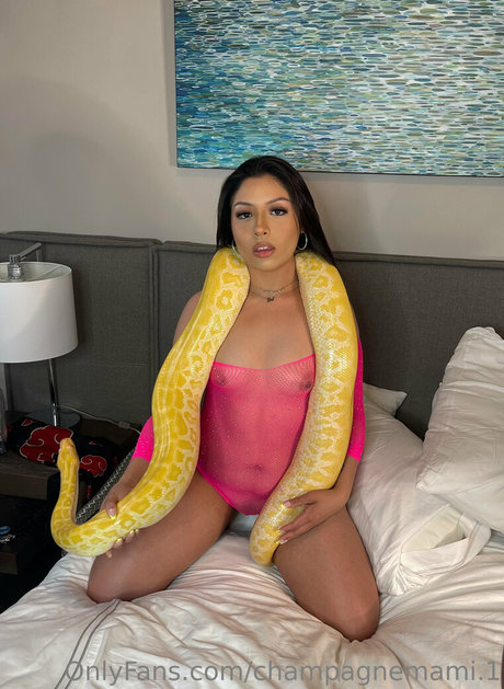 champagnemami 1 art star pics