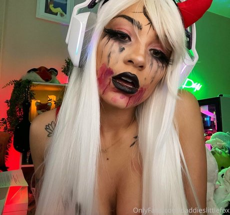 daddieslittlefox star free photos