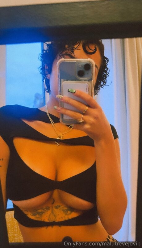 malutrevejovip art star galleries