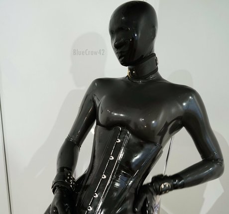 bluecrow42 star perfect galleries