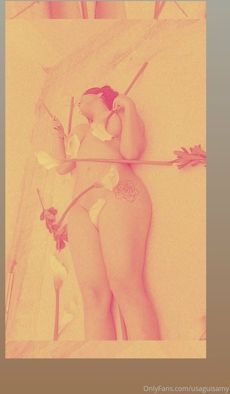 usaguisamy model nice archive