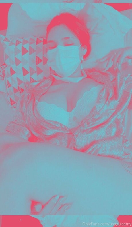 usaguisamy model top img