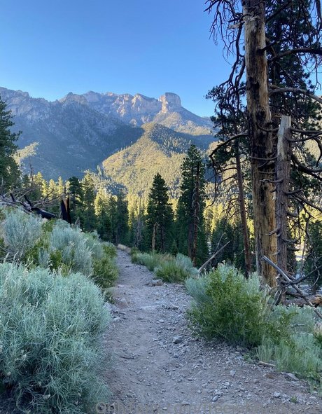 freejohnnystone star naked photo