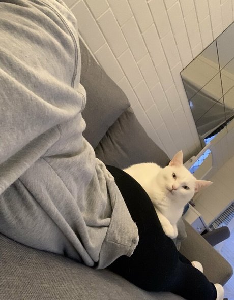 boobsandthings model hd pic