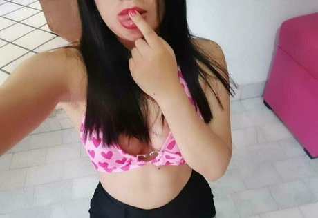 florecita 21 best star gallery