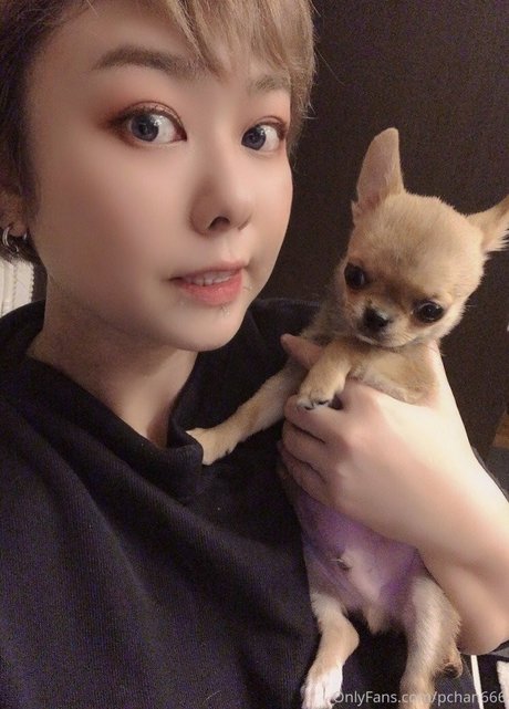 Pchan 666 pretty star img