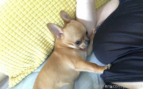 Pchan 666 porn star img