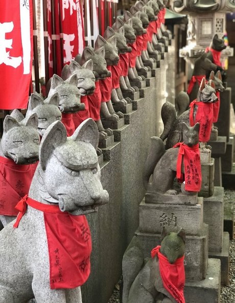 Pchan 666 star hot gallery