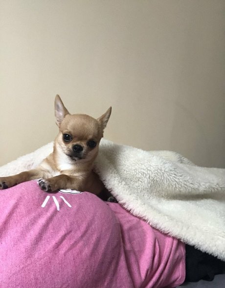 Pchan 666 sex actress photo