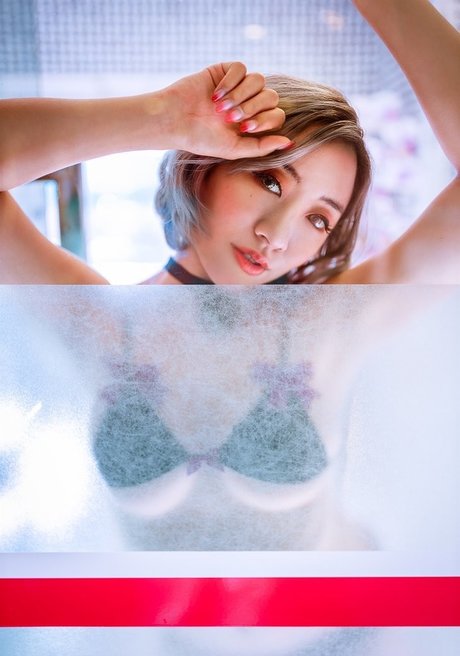 Stellewds free star galleries