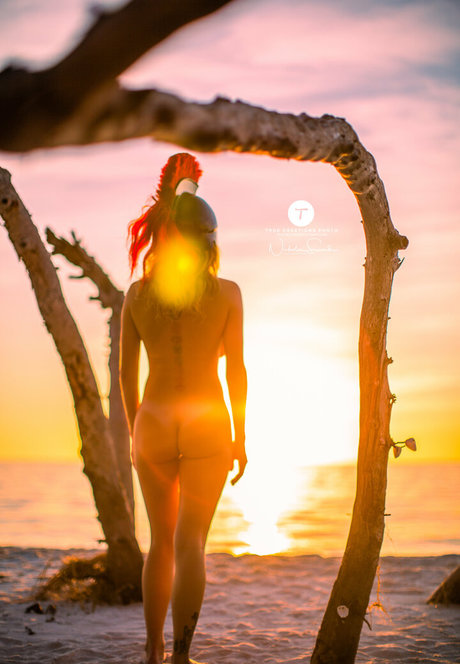 esunnyd star archive