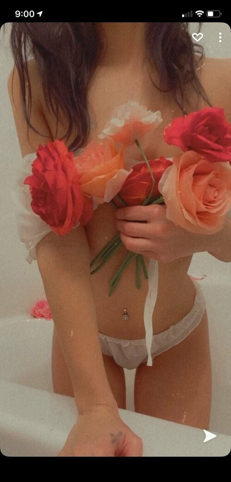 paisleypepper erotic pornstar pictures