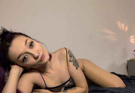 pussy 18 art star photo