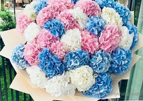 tykitabigbooty nude model image