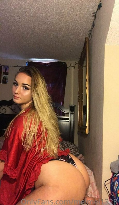 melmel1323 best model img