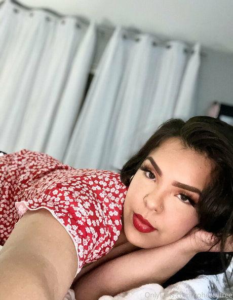 nohessyfree perfect pornstar images