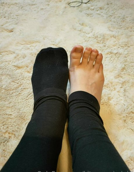 kitsunemimigirl sex star archive