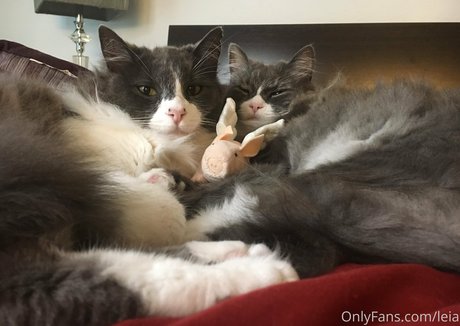 blonde masturbation onlyfans sex images