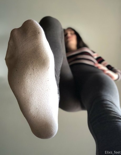 giantesselixs Profile pic