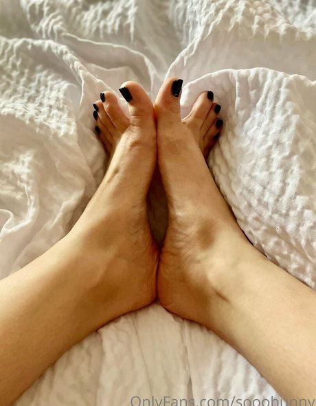 sooobunny top pornstar archive