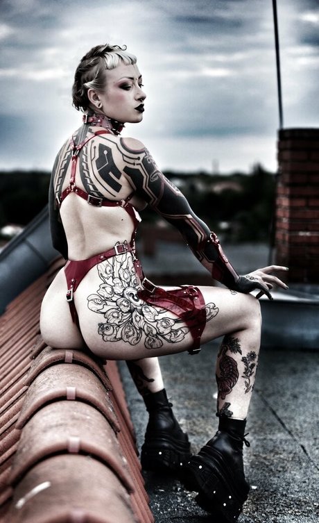 deadlexi pornstar nudes pictures