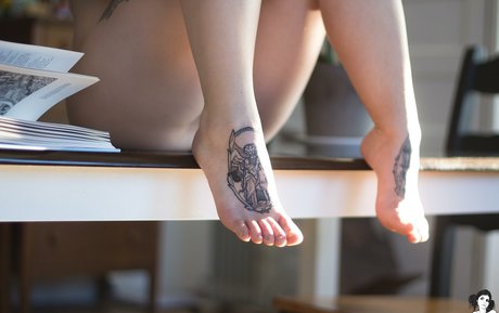 Lascaux best model img