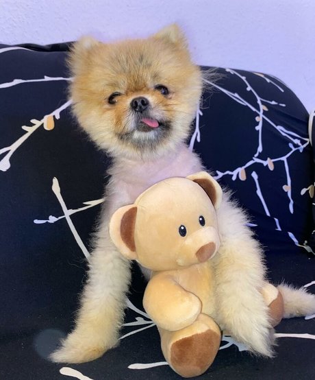 pussy feet onlyfans exclusive photos