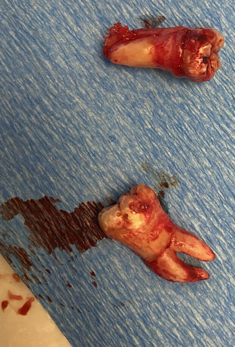 sashastrokes model sex archive