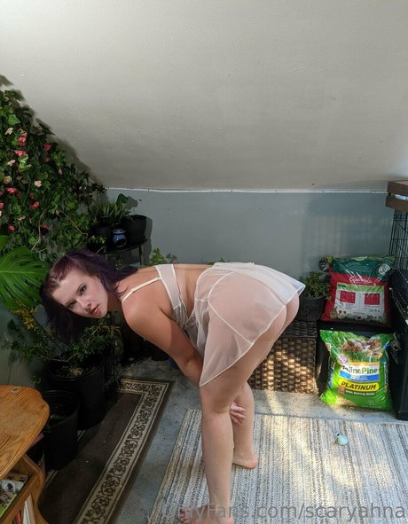 scaryahna high quality pornstar image