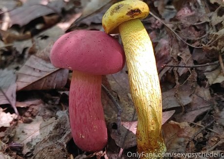 sexypsychedelic pornstar high quality photo