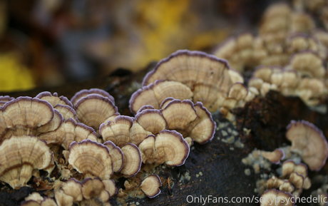 pointy tits onlyfans nudes image