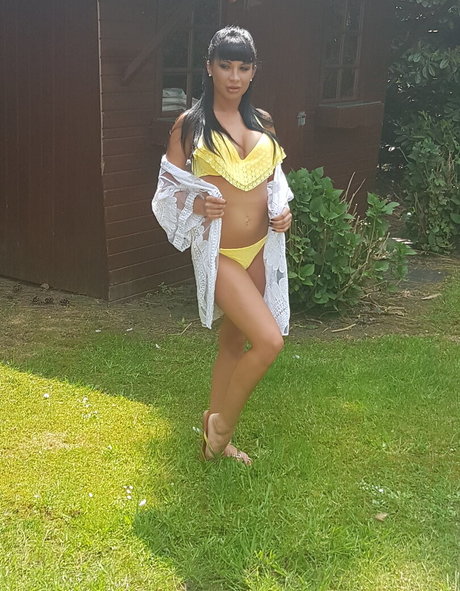 longwood79 perfect star archive