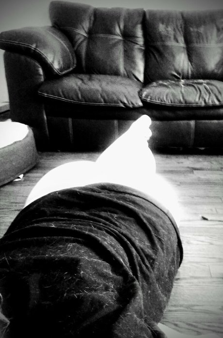 gamingth0ttyfree beautiful model pics