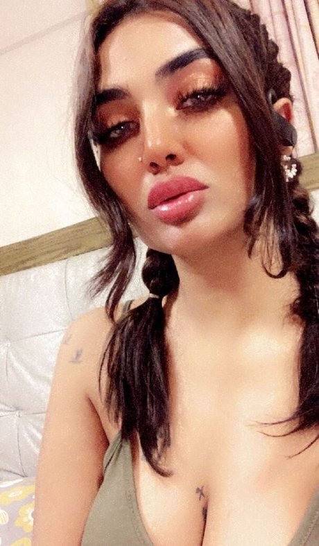 Pakistani Beauties high quality model image