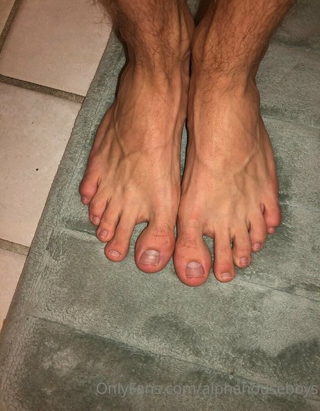 alphahouseboys star adult pics
