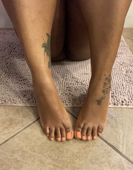 thetoekitten star nice photo