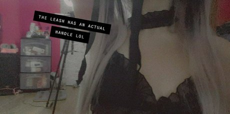 lewdcesu model hd images