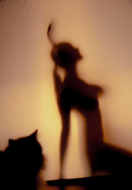 kokorosapphire pornographic star photos