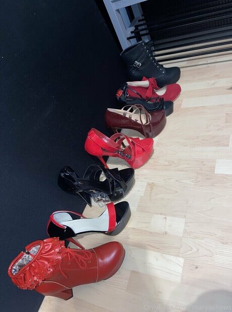 marywillows model art picture