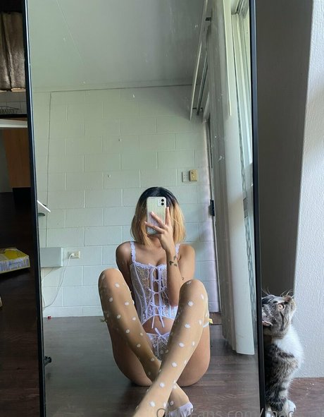 mk free star gallery