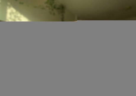 dreamswitch2 free pornstar images