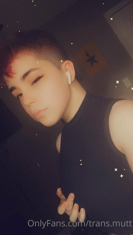 trans mutt nice pornstar photo