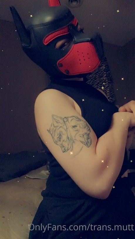 trans mutt best model image