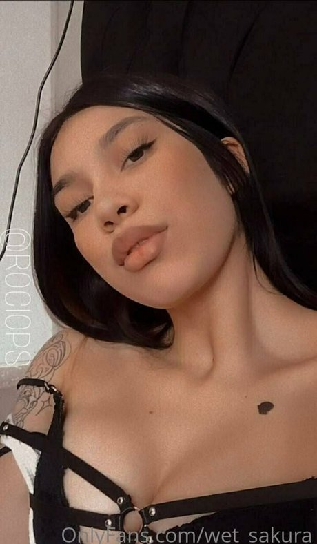 wet sakura nude star archive