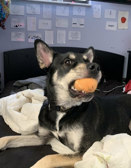 unethrealfree art pornstar picture