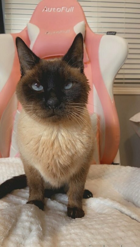 freebunbun pornstar sex picture