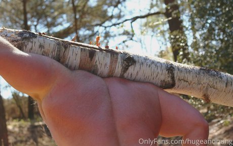 hugeandhung xxx pornstar images