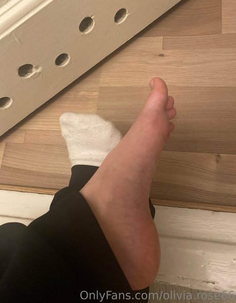 olivia rose66 pornstar high quality img