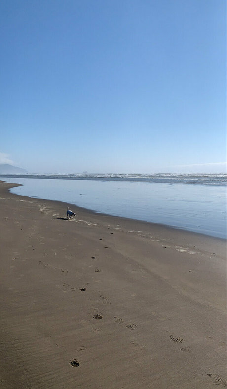 auroraarose xo model porn pics