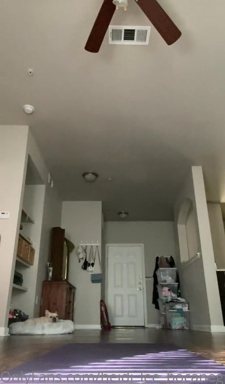 Heidi Lee Bocanegra xxx actress picture